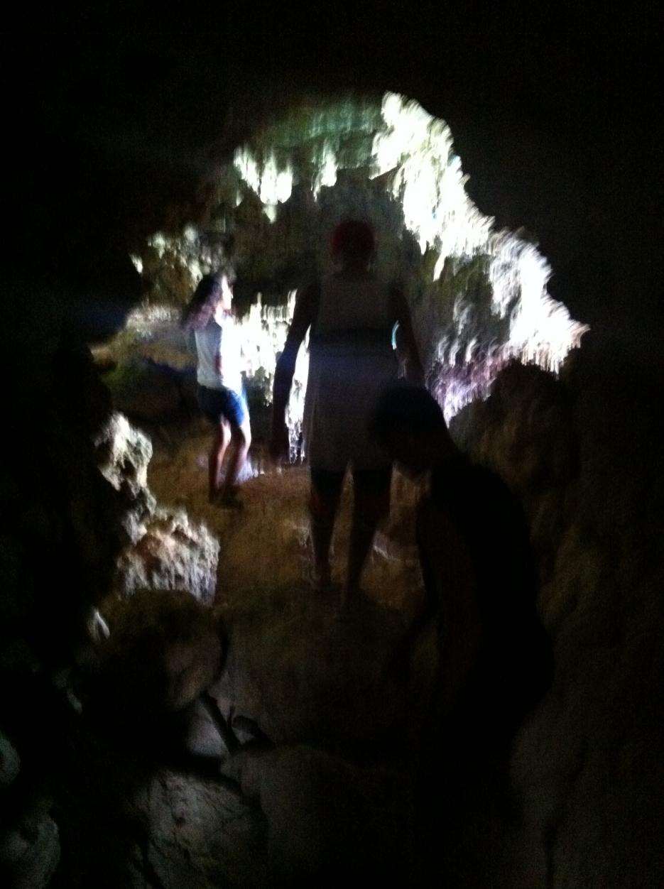 Name:  RTI Negril 2013 (208).jpg
Views: 949
Size:  93.7 KB