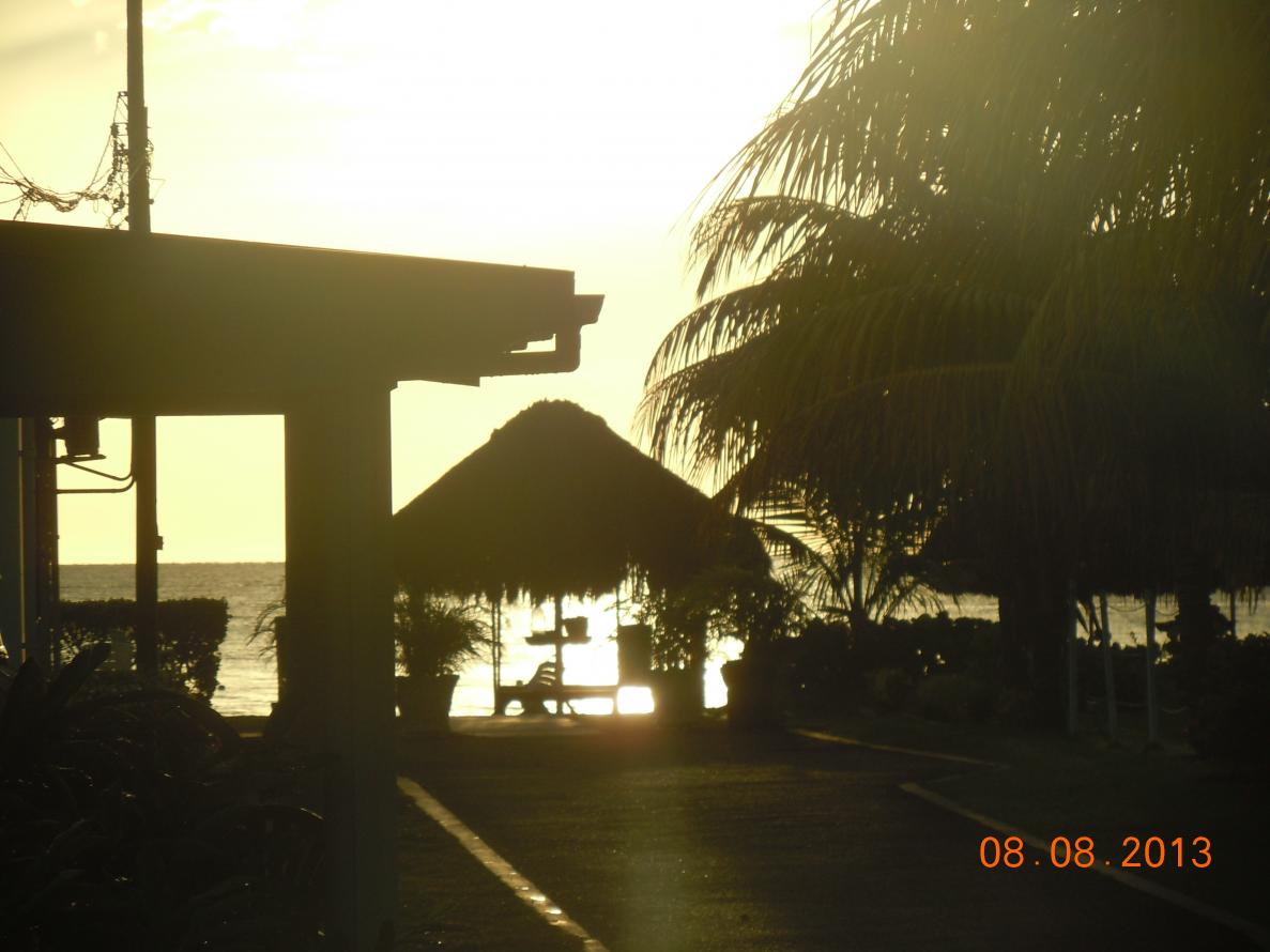Name:  DSCN3976.jpg
Views: 902
Size:  83.5 KB