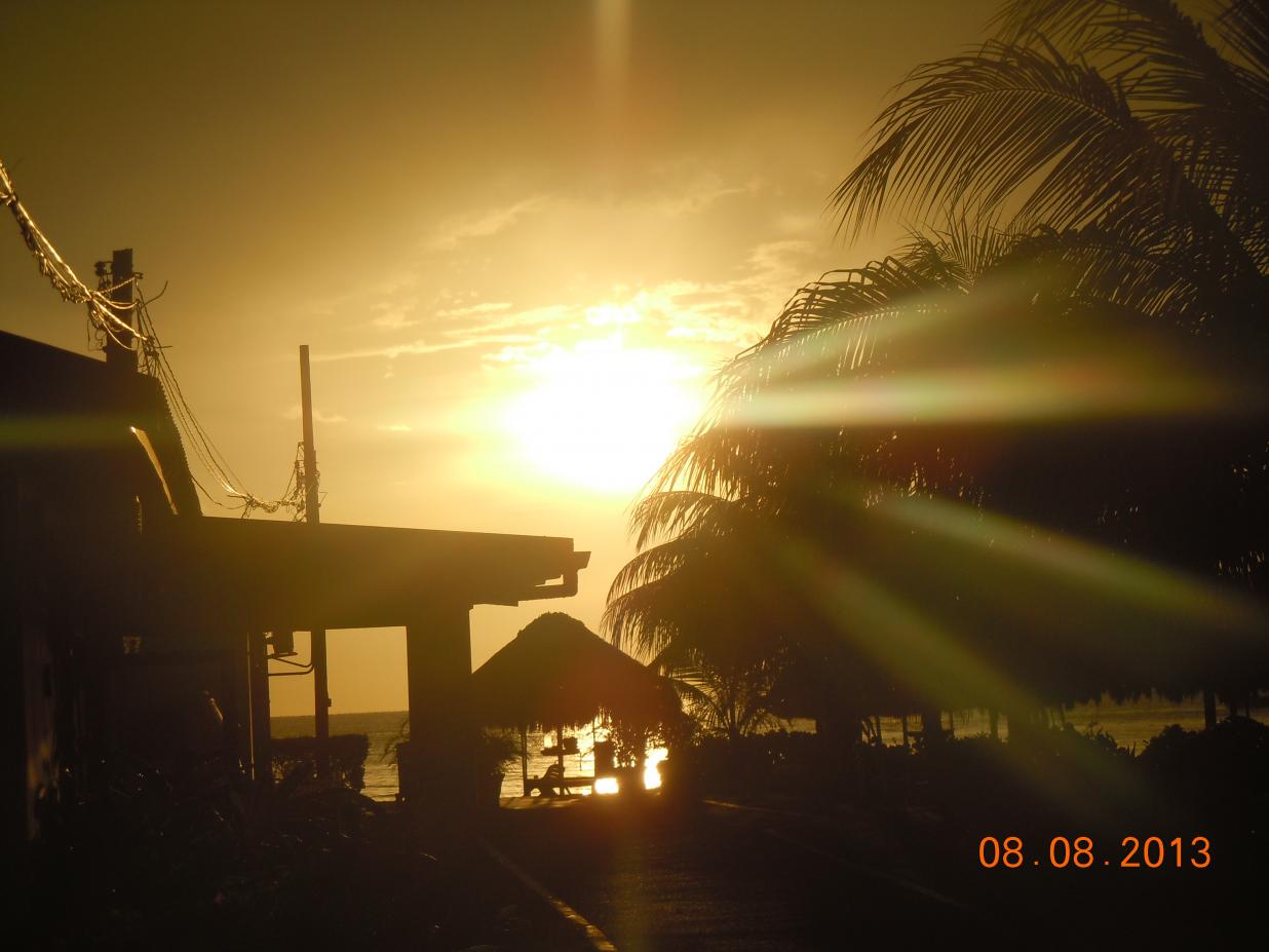 Name:  DSCN3978.jpg
Views: 934
Size:  85.0 KB
