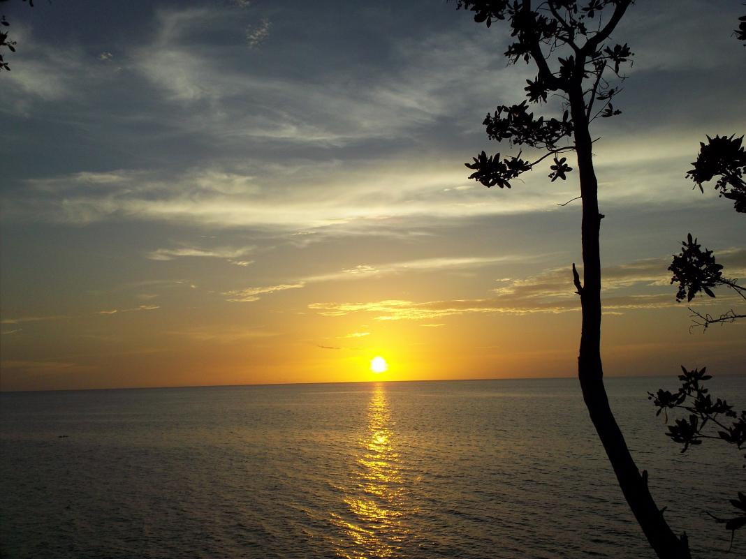 Name:  100_0311.jpg
Views: 678
Size:  91.9 KB