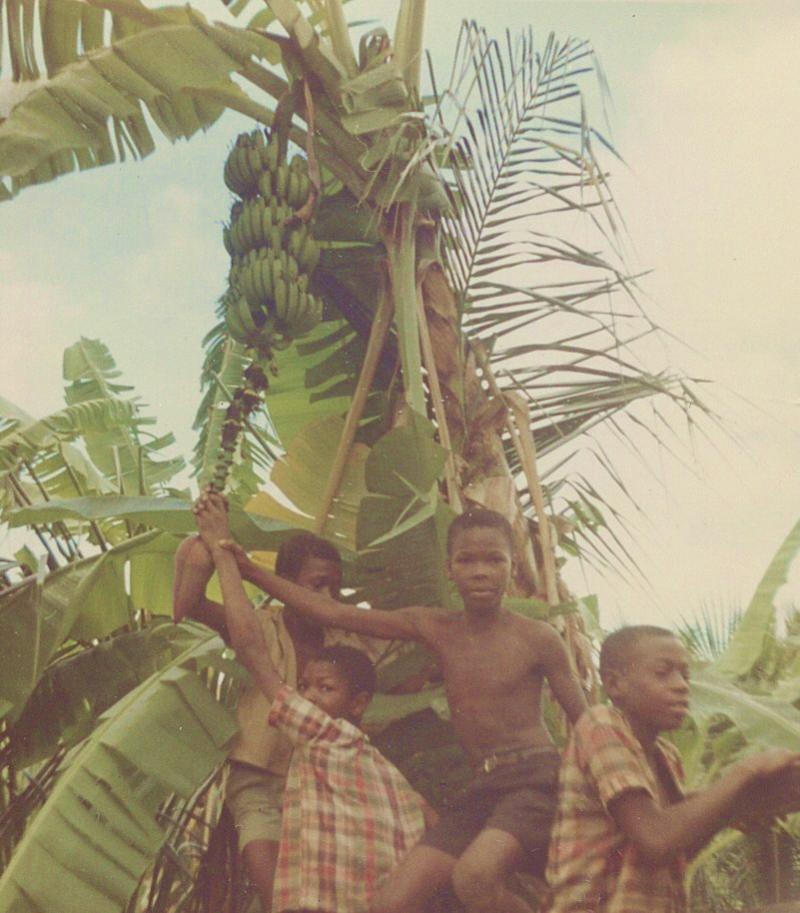 Name:  Scan2_0002.jpg
Views: 589
Size:  88.9 KB