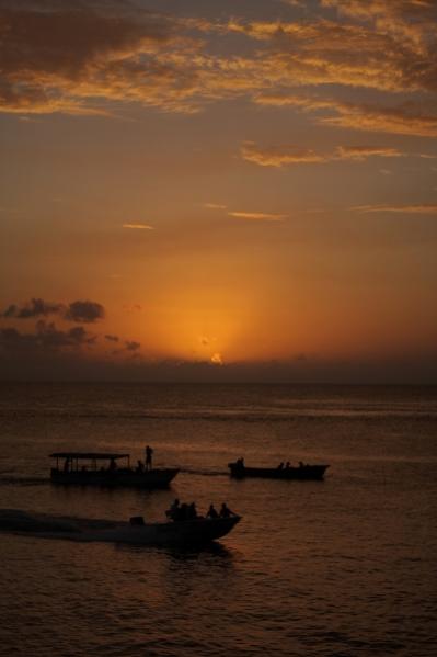 Name:  DPP_00954 (400x600).jpg
Views: 1001
Size:  21.1 KB