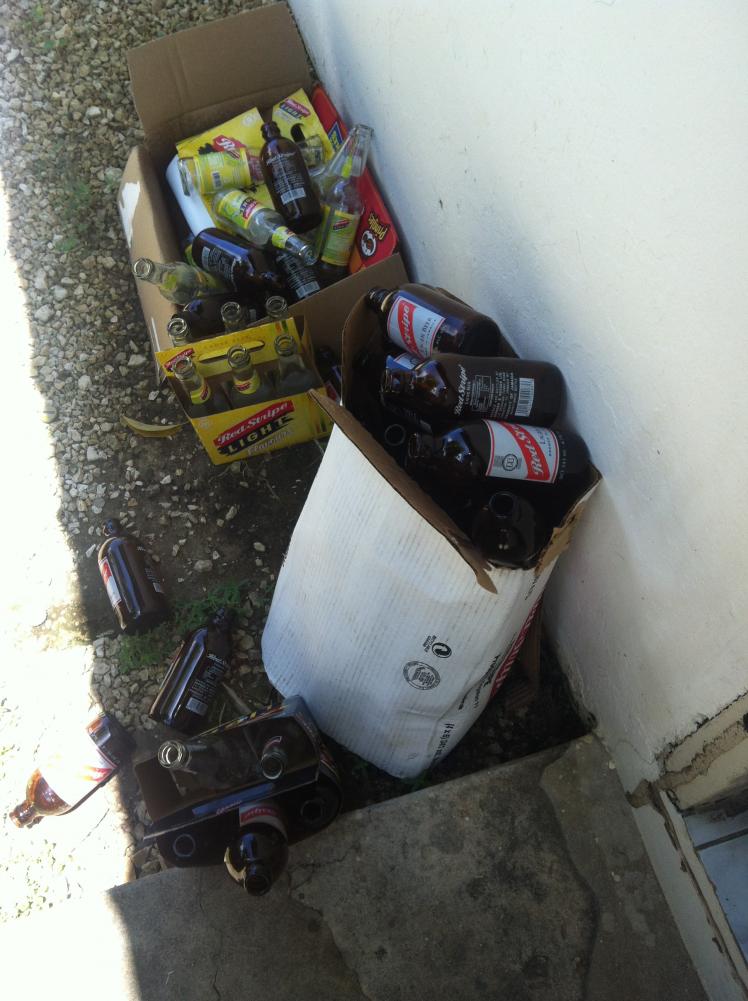 Name:  RTI Negril 2013 (229).jpg
Views: 930
Size:  93.3 KB