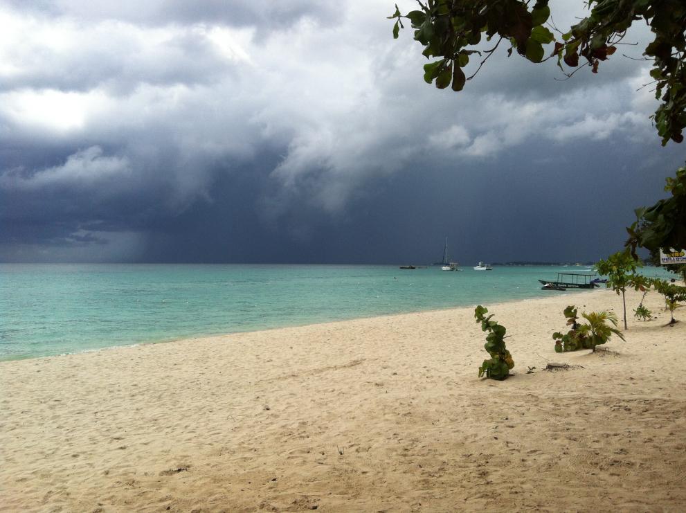 Name:  RTI Negril 2013 (235).jpg
Views: 855
Size:  95.0 KB