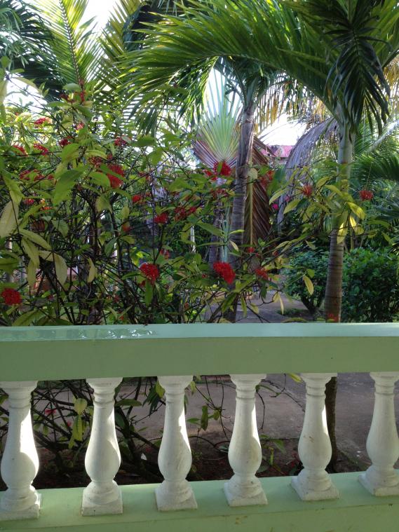 Name:  2013 08 25 hidden paradise patio.jpg
Views: 446
Size:  99.2 KB