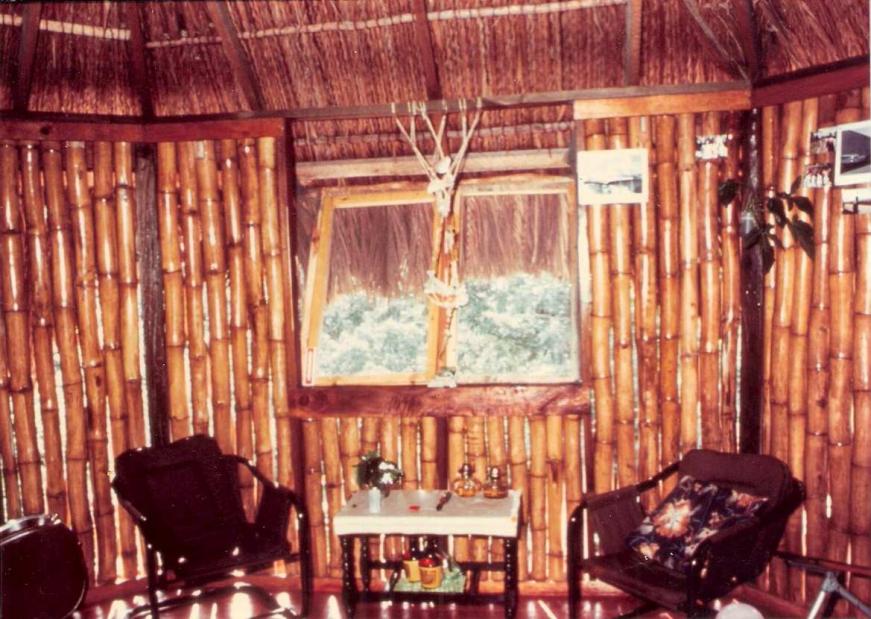 Name:  Living room.jpg
Views: 791
Size:  98.2 KB