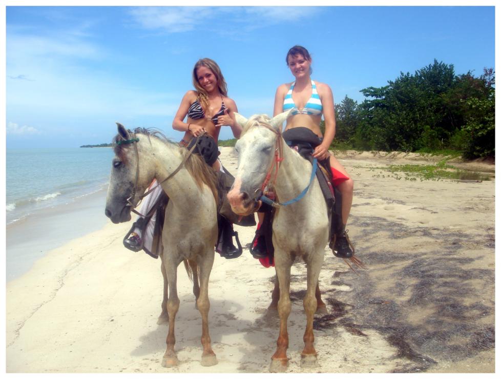 Name:  Horseback Riding 1.jpg
Views: 831
Size:  91.9 KB