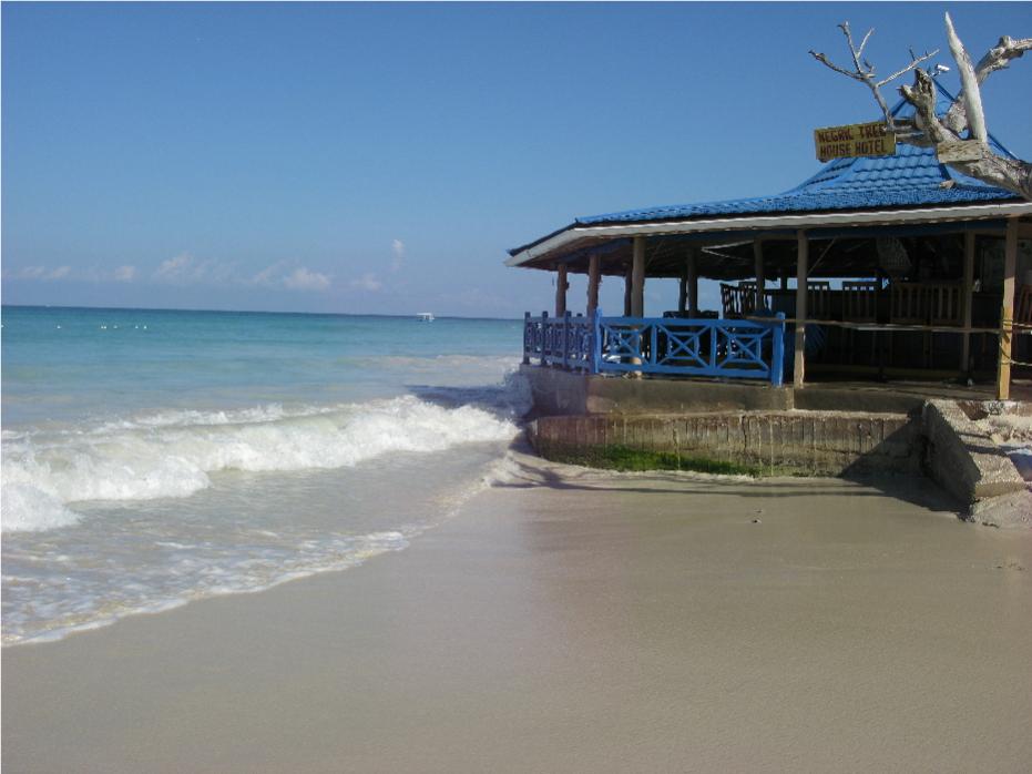 Name:  Tree House Bar 2013.jpg
Views: 425
Size:  62.5 KB