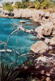 Name:  westend water.jpg
Views: 1471
Size:  16.0 KB