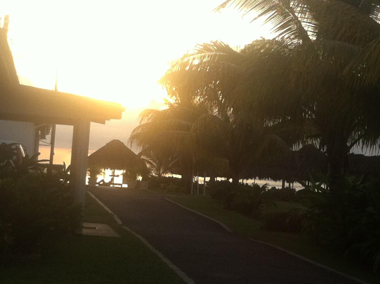 Name:  RTI Negril 2013 (286).jpg
Views: 962
Size:  89.3 KB