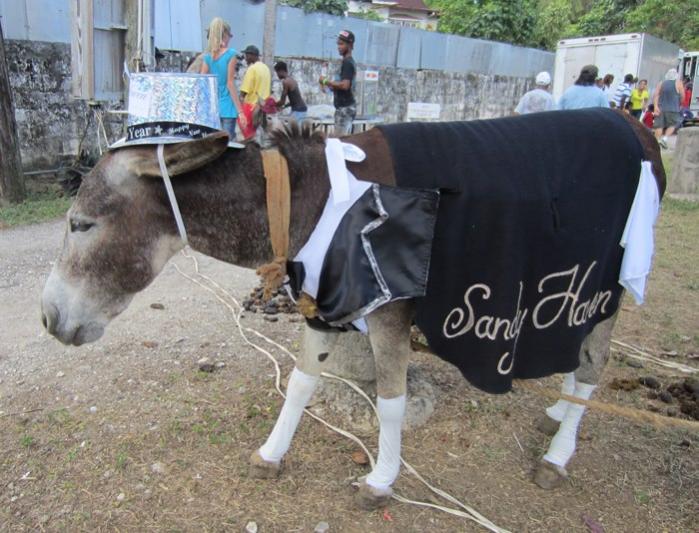 Name:  Negril Donkey Races.jpg
Views: 294
Size:  69.8 KB