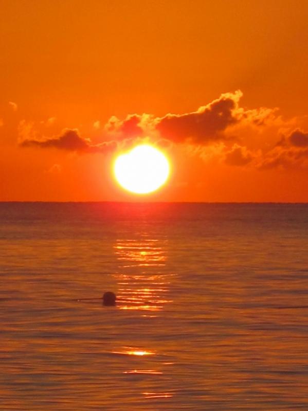 Name:  IMG_2046 (600x800).jpg
Views: 370
Size:  37.4 KB