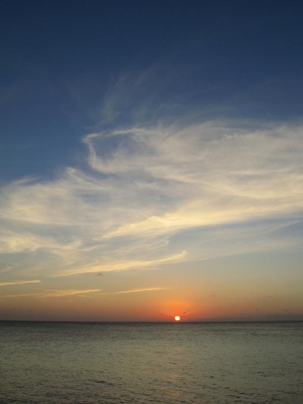 Name:  IMG_0370 (600x800).jpg
Views: 380
Size:  30.1 KB
