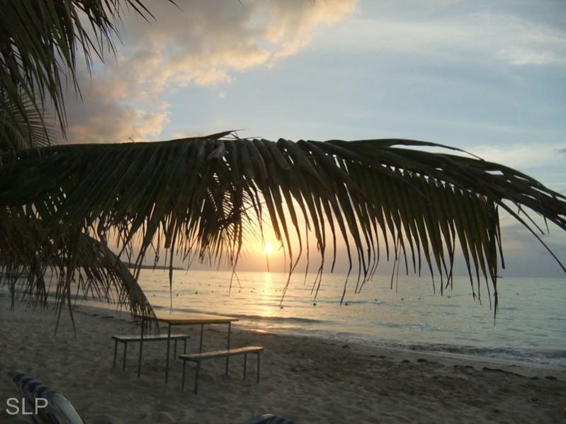 Name:  DSCF2379 (Copy).jpg
Views: 374
Size:  60.8 KB