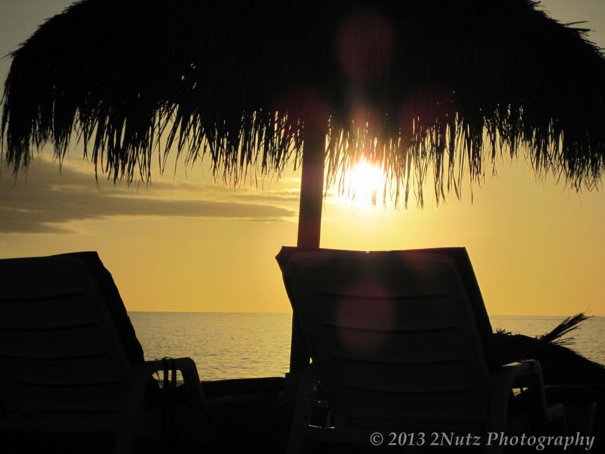 Name:  Jamaica 2012 (85) (Copy).jpg
Views: 349
Size:  84.3 KB