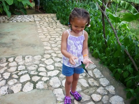 Name:  image.jpg
Views: 312
Size:  83.4 KB