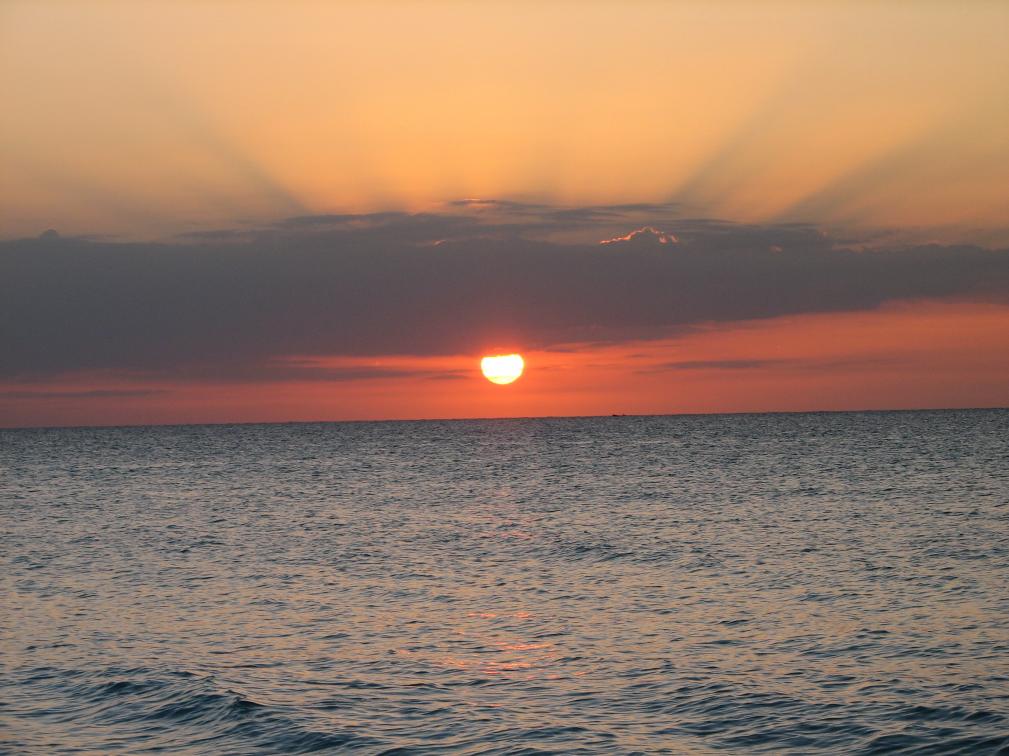 Name:  Negril SS.jpg
Views: 395
Size:  96.2 KB