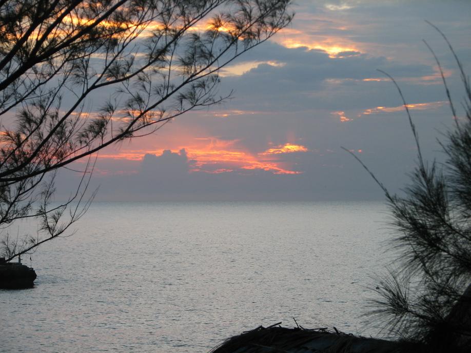 Name:  Negril SS (5).jpg
Views: 356
Size:  94.6 KB