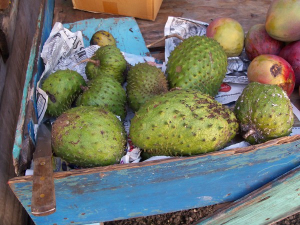 Name:  Jamaica 2011 - May 28 - Sav Market - 107_9192.jpg
Views: 611
Size:  89.1 KB