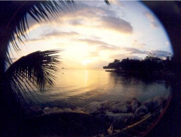 Name:  hedo sun.jpg
Views: 319
Size:  16.1 KB