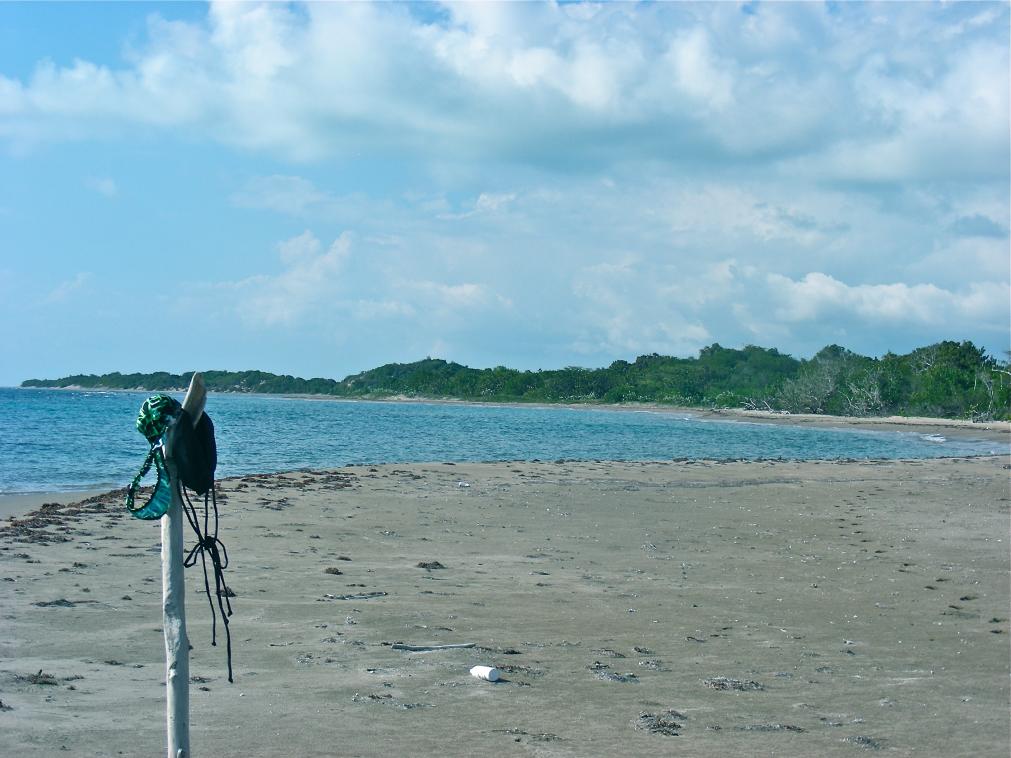 Name:  DSCN2488.jpg
Views: 382
Size:  95.0 KB