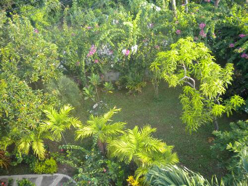 Click image for larger version. 

Name:	Jamaica 2010 photos (1144).jpg 
Views:	546 
Size:	61.0 KB 
ID:	3140