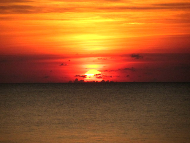 Name:  1-IMG_6114.JPG
Views: 182
Size:  58.8 KB