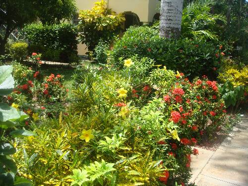 Click image for larger version. 

Name:	Angies photos Jamaica 2010 235.jpg 
Views:	534 
Size:	68.2 KB 
ID:	3141