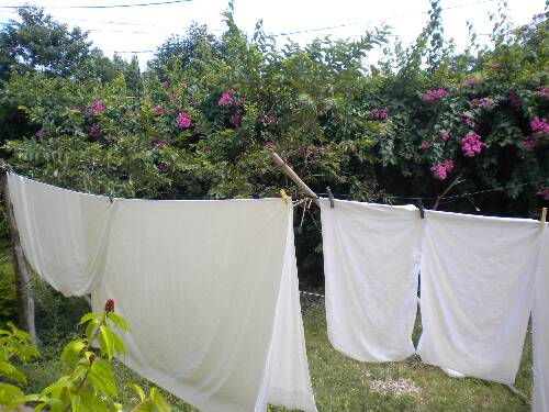 Click image for larger version. 

Name:	Jamaica 2010 photos (1160).jpg 
Views:	535 
Size:	42.3 KB 
ID:	3145