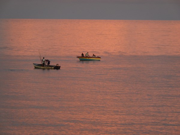 Name:  DSCN0920.jpg
Views: 291
Size:  46.5 KB