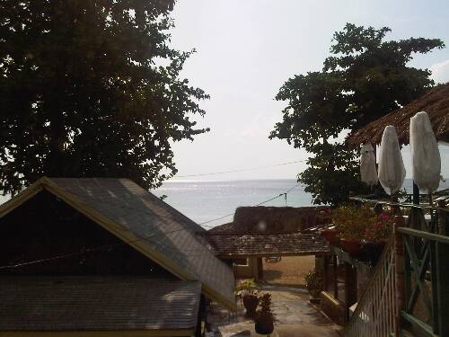 Click image for larger version. 

Name:	Jamaica 2010 Fed 063.jpg 
Views:	525 
Size:	35.6 KB 
ID:	3150