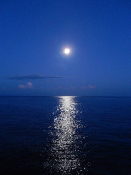Name:  DSCN1622.jpg
Views: 395
Size:  58.1 KB