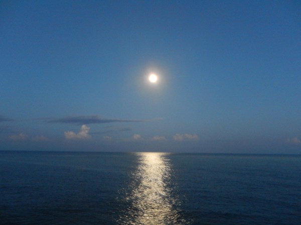 Name:  DSCN1626.jpg
Views: 387
Size:  34.1 KB