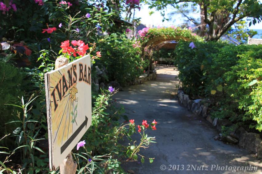 Name:  Jamaica 2012 (268) (Copy).jpg
Views: 618
Size:  101.7 KB