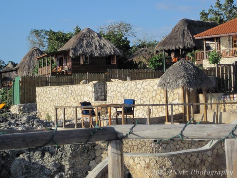 Name:  Jamaica 2012 (82) (Copy).jpg
Views: 660
Size:  97.4 KB