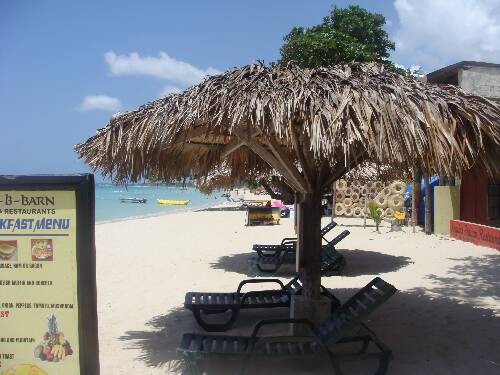 Click image for larger version. 

Name:	Angies photos Jamaica 2010 248.jpg 
Views:	531 
Size:	38.6 KB 
ID:	3175