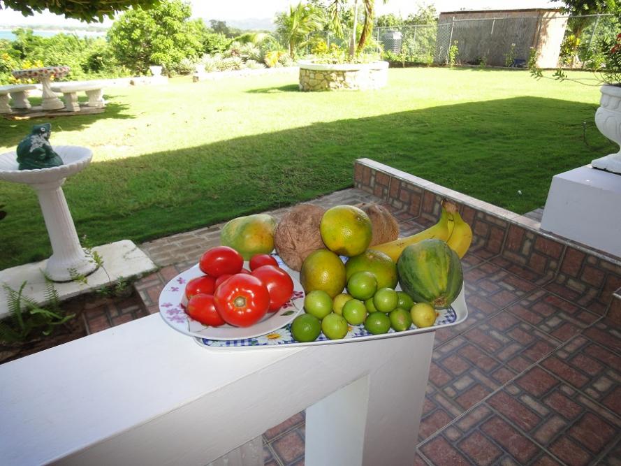 Name:  Negril 3.jpg
Views: 4710
Size:  95.4 KB