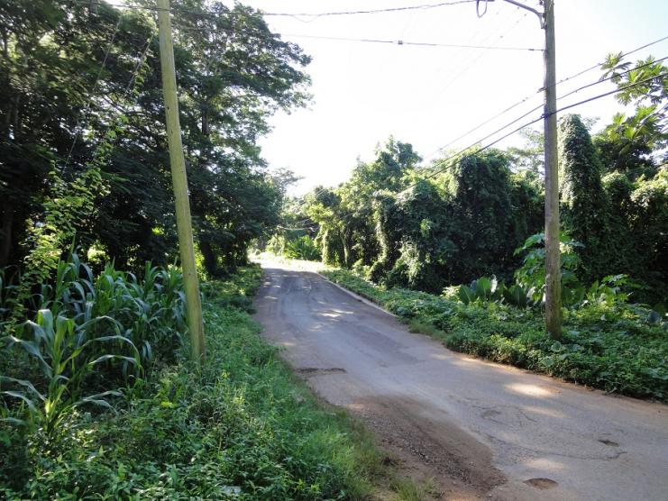 Name:  Negril 4.jpg
Views: 2274
Size:  99.7 KB