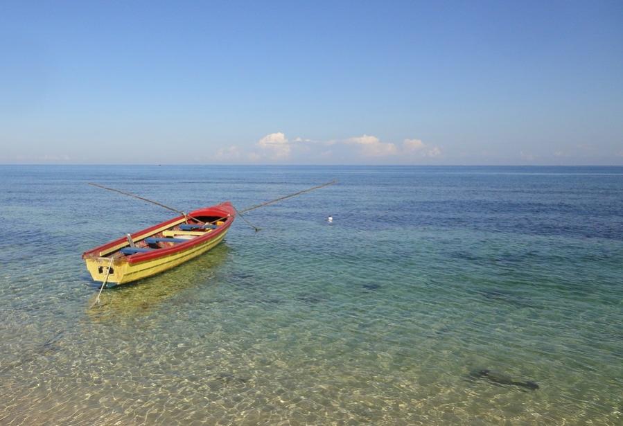 Name:  negril3.jpg
Views: 1443
Size:  69.4 KB
