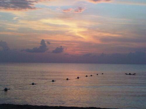Click image for larger version. 

Name:	Jamaica 2010 Fed 083.jpg 
Views:	498 
Size:	19.2 KB 
ID:	3184