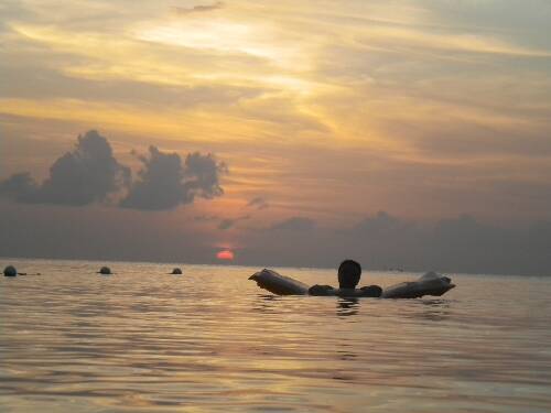 Click image for larger version. 

Name:	Jamaica 2010 photos (824).jpg 
Views:	504 
Size:	20.6 KB 
ID:	3186
