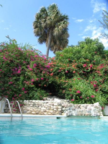 Name:  Jamaica 11-11-13 - Treasure Beach Hotel - 6090.jpg
Views: 696
Size:  53.7 KB
