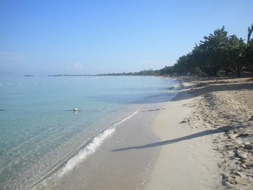 Click image for larger version. 

Name:	Jamaica 2010 photos (847).jpg 
Views:	461 
Size:	24.5 KB 
ID:	3196