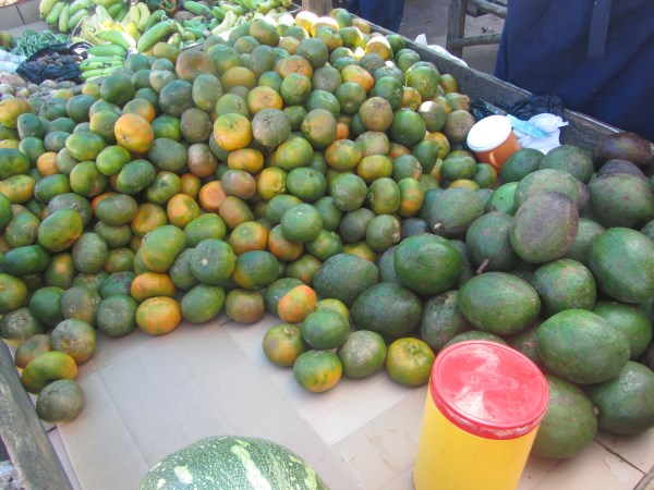 Name:  Jamaica 11-18-13 - Sav Market - 6452.jpg
Views: 457
Size:  78.5 KB