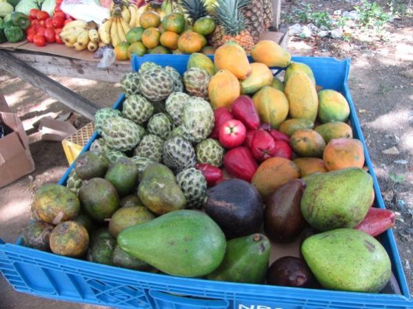 Name:  Jamaica 11-22-13 - Negril - 6566.jpg
Views: 423
Size:  56.7 KB