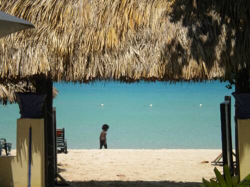 Click image for larger version. 

Name:	Jamaica 2010 photos (868).jpg 
Views:	436 
Size:	40.6 KB 
ID:	3198