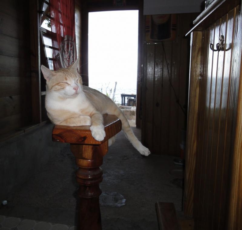 Name:  neg16.jpg
Views: 1175
Size:  54.6 KB