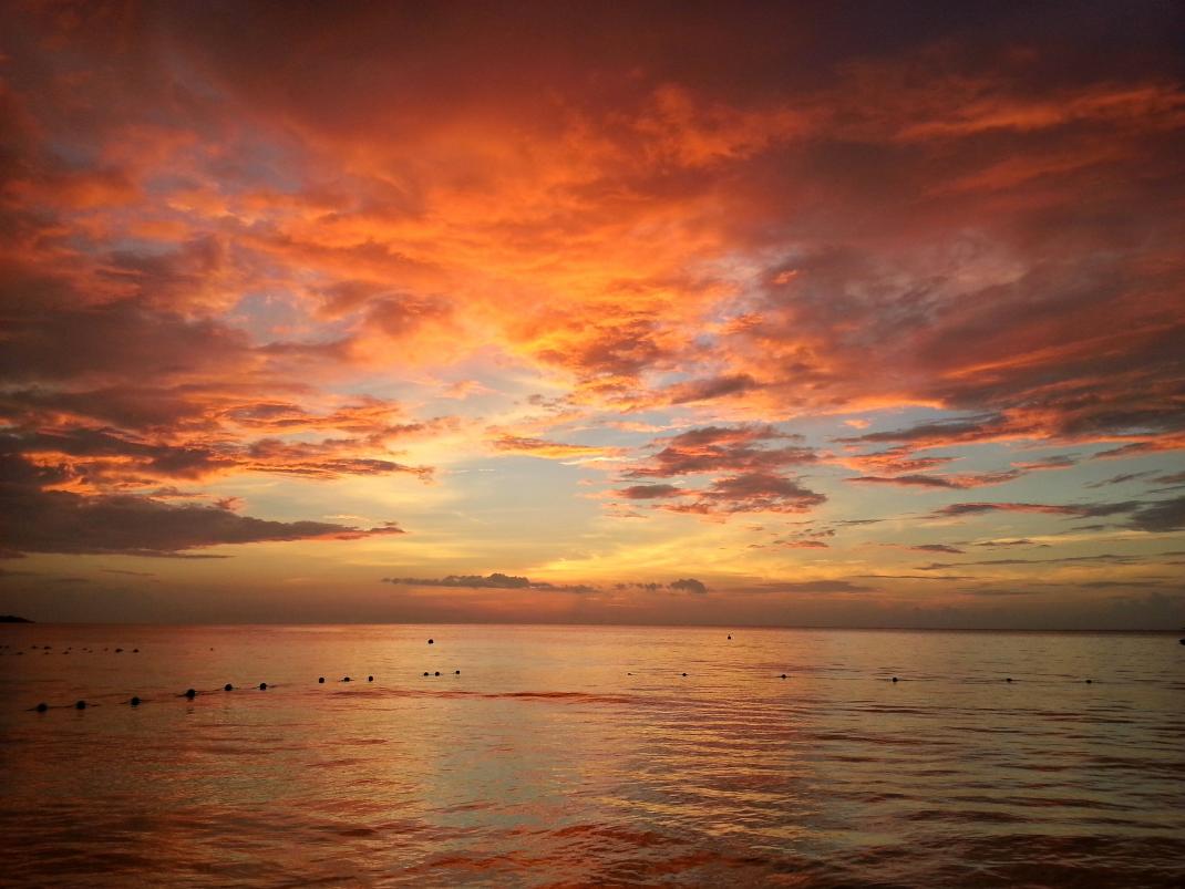 Name:  facebook cover.jpg
Views: 641
Size:  90.8 KB