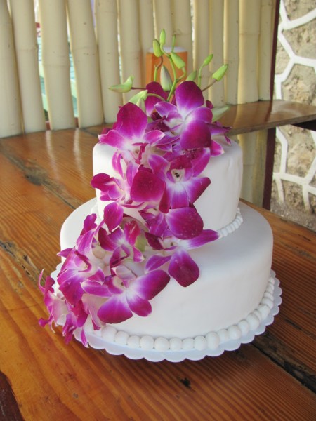 Name:  Jamaica 2011 - May 27 - Kristin & Alex Wedding - IMG_0455 (2).jpg
Views: 411
Size:  66.9 KB