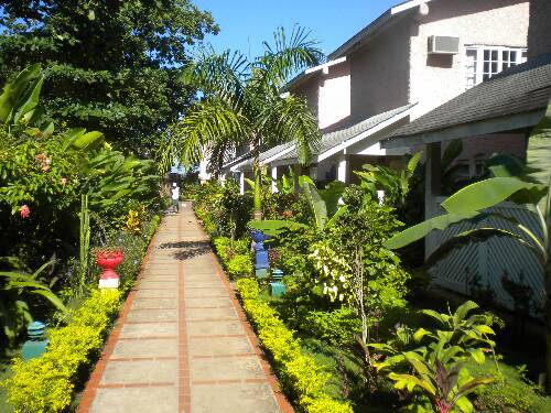 Click image for larger version. 

Name:	Jamaica 2010 photos (860).jpg 
Views:	442 
Size:	59.9 KB 
ID:	3204